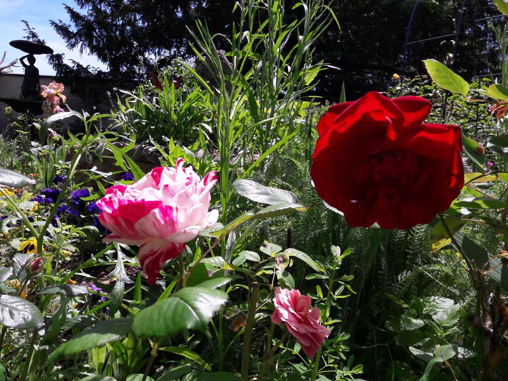 Le Vieux Vauvert Bed & Breakfast Rochecorbon Bagian luar foto