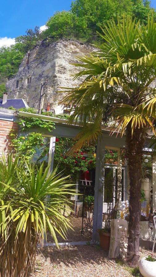 Le Vieux Vauvert Bed & Breakfast Rochecorbon Bagian luar foto