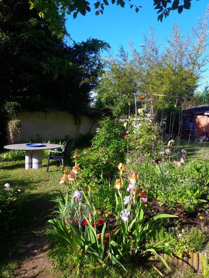 Le Vieux Vauvert Bed & Breakfast Rochecorbon Bagian luar foto
